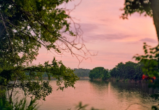 Rural Kentucky in early July